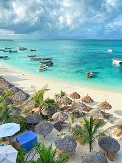 A beautiful beach front in Zanzibar with palm trees and boats floating along the water