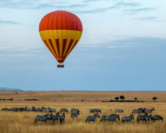 A hot air ballon quietly floating above a herd of zebra in the Serengeti