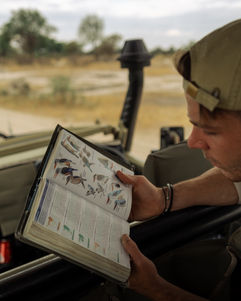 A guest on safari looking through a bird book trying to identify a bird they have just spotted.