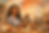 FCB68956-A241-41A2-8010-966A050D7A1E.PNG