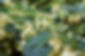 rasa-kasparaviciene-WOCzKrB--DU-unsplash.jpg