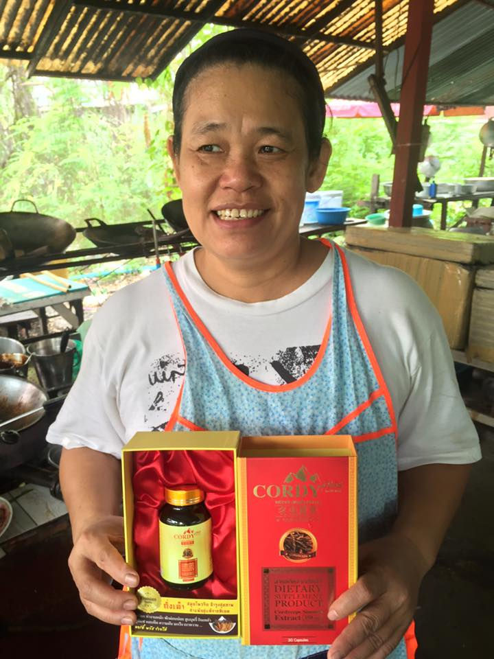 อาหารเสริม ถั่งเช่า - ถั่งเฉ้า