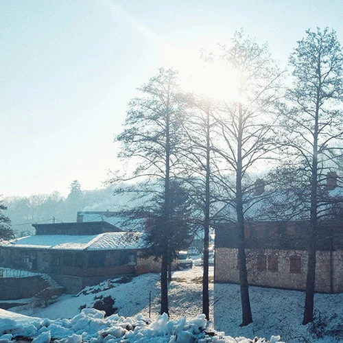 “Snow-covered Niseko chalet exterior – luxury winter accommodation for private chef Niseko guests”