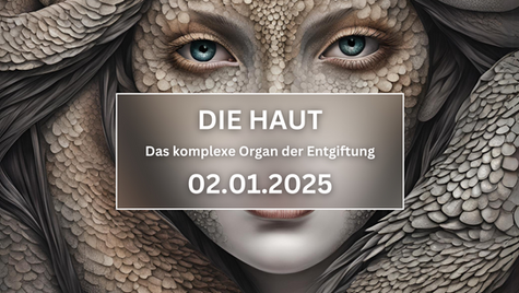 Fokus-Vortrag von Karin Mayr im Jänner, 02.01.2025