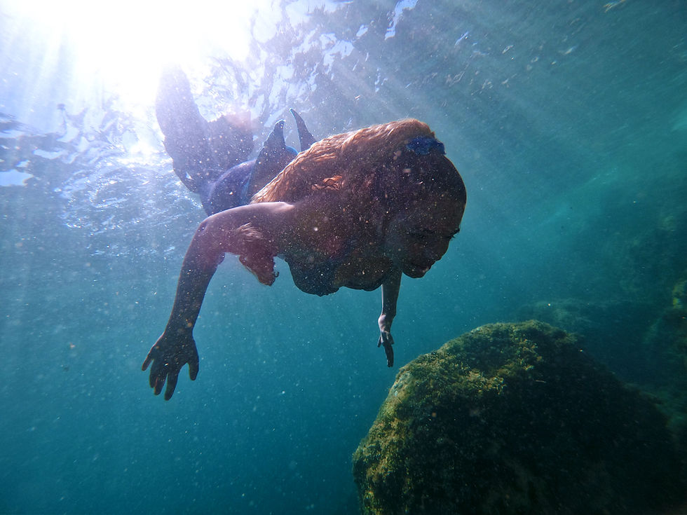 Une sirène au Port du Niel