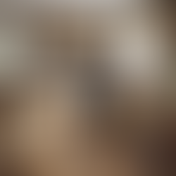 Summer Home Projects: Turn Your House into a Haven Before Back-to-School Madness!