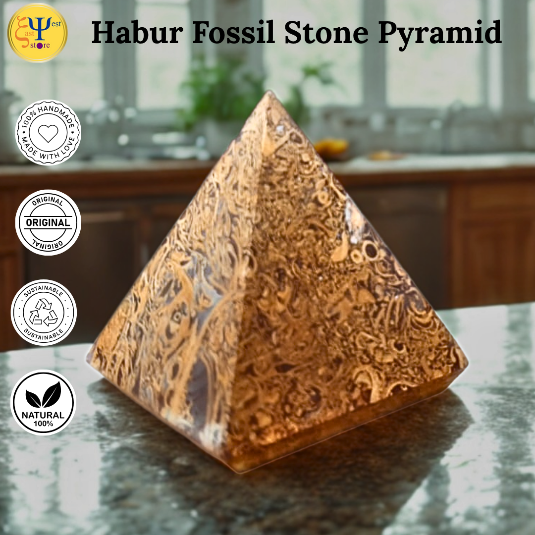 Habur Fossil Stone Pyramid Unpolished