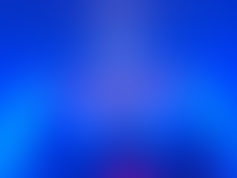 LIVE CONCERTS - The Year In Review (Part IV)