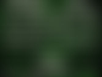 (Live Review) MILWAUKEE METALFEST 2024 - Night Three