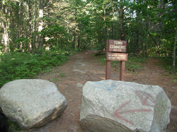 Town Commons trail