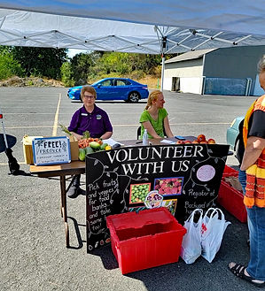 2021.08.24_Volunteering with Backyard Harvest.jpg