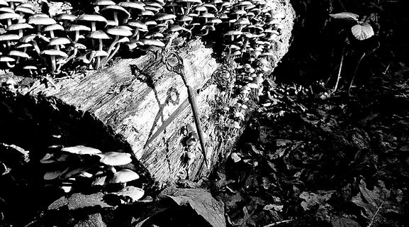 20211117_115651[2151] - Copy.jpg