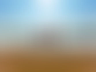 Saving Noah’s Family