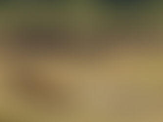 Hollywood: Your Culture is Showing