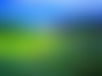 God Clothes the Earth