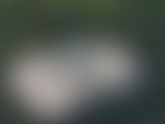 Questions In The Psalms