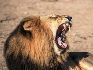 The Devil Never Takes a Vacation