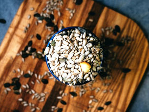 The Seed of the Word