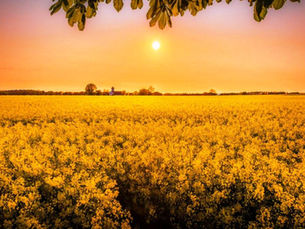 Results of Believing in God’s Providence