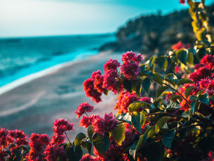 Ask A Pastor: Should I do public confession of faith if I disagree with something in my church?