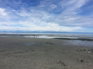 Through the Bad AND the Good