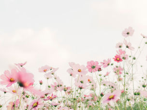 Ask A Pastor: God told me not to go to church?