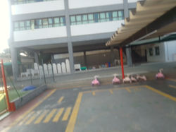 IMG_20220726_085212_617