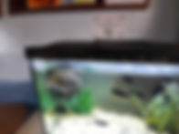 WhatsApp Image 2022-10-20 at 12.13.45.jpeg