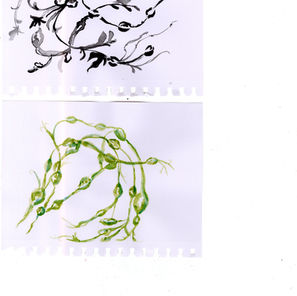 FINAL MAJOR PROJECT coming soon...