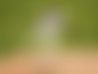 RHP Lukas Pirko Impresses in Texas Tech Debut