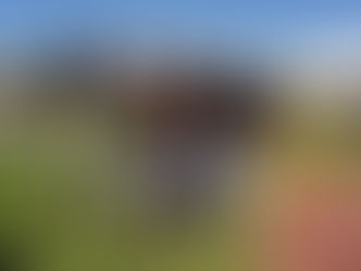 No regular season title, no problem: East Carolina clinches seventh straight trip to NCAA Tournament winning AAC Tournament.