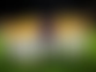 LSU sweeps Mississippi State: Key takeaways for the Tigers