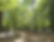 Ombre bienfaisante du parc.JPG