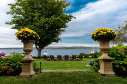 lake flowers