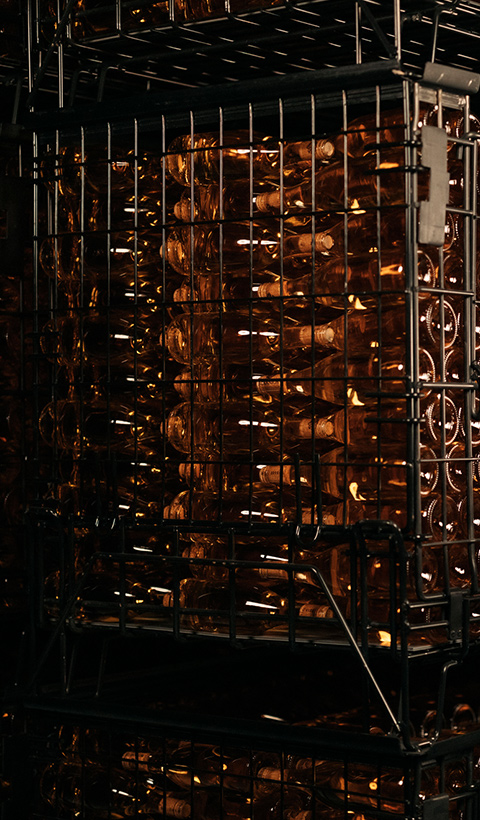 Roxanich Winery & Design Hotel — official hotel photography 2