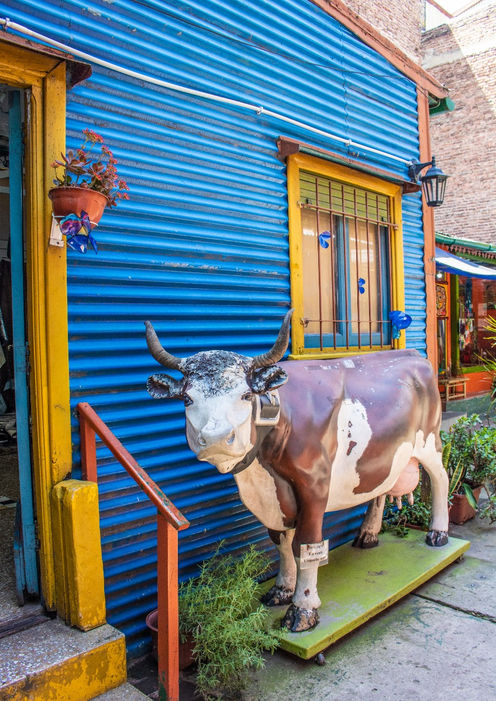 IMG_0789 copiar_edited.jpg