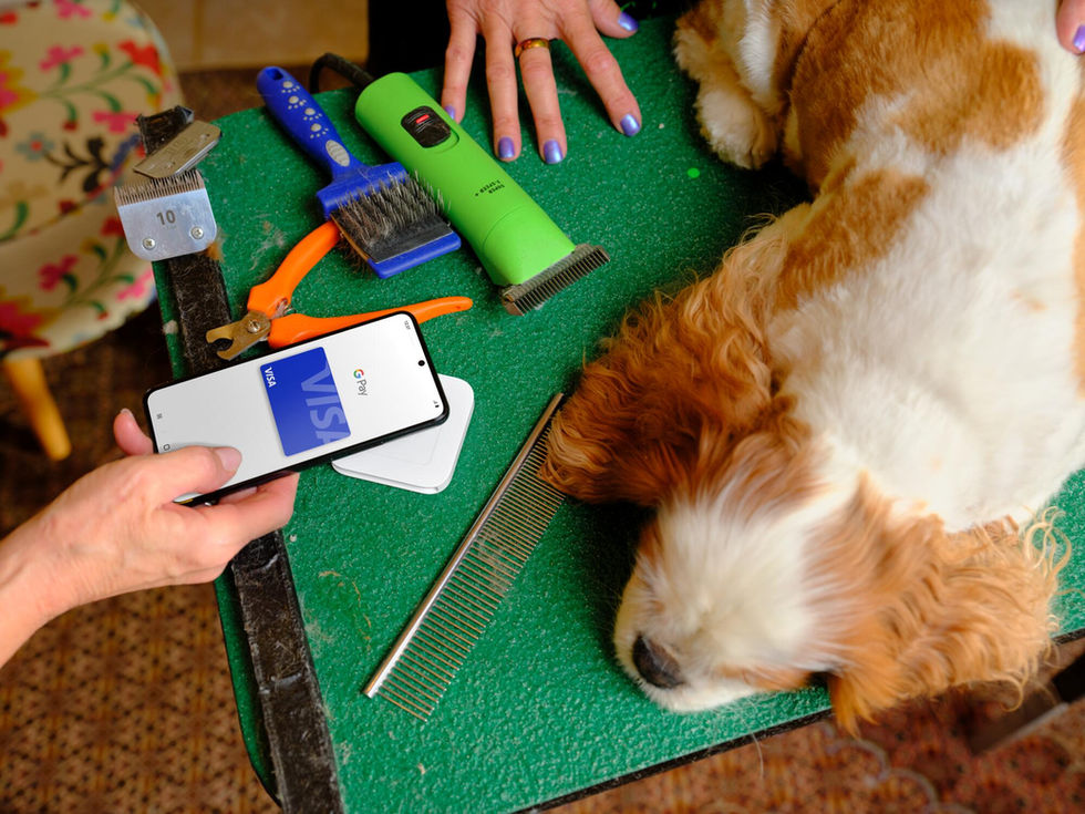 dog groomer 2