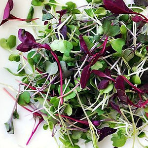 Rainbow Salad mix - 1kg