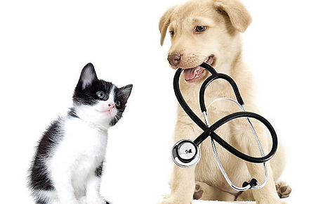 Screen Shot 2022-03-16 at 7.00.56 AM.png