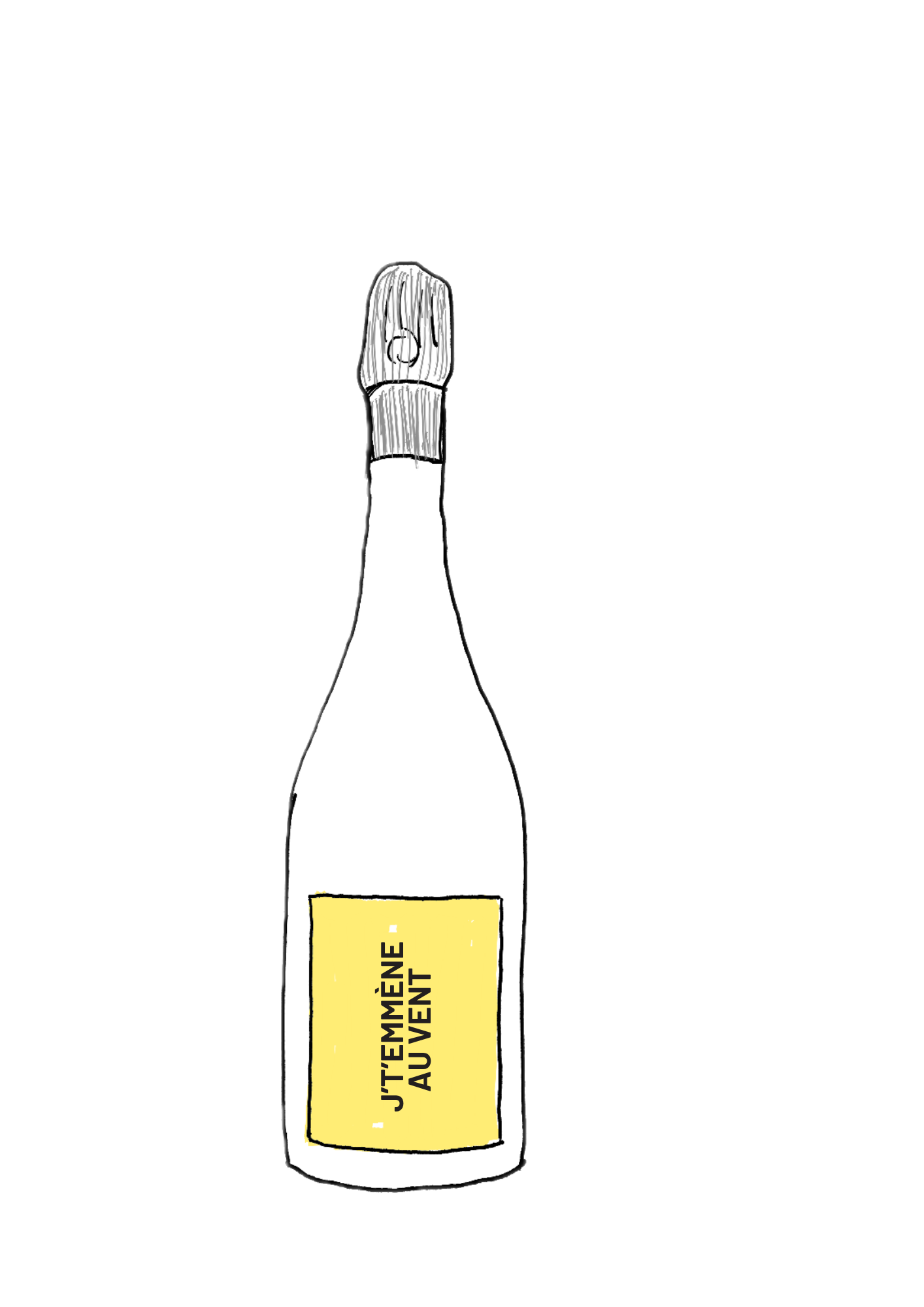 J'T'EMMÈNE AU VENT