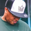 Thumbnail: P.S Snapback