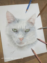 IMG_2062.JPEG