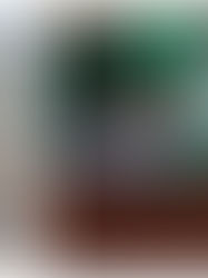 Espetáculo "PULSAR" e Assembleia da República