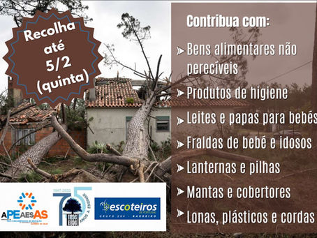      Campanha de Recolha de Bens