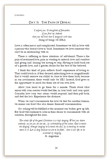 Picture of Day 11 in the Theology of Desire Devotional