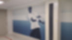 Murals