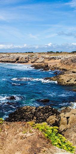 16a24a9e-3583-4781-8f4c-07dd834d869b.pdf (2).png