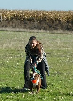 pet boarding, pet kennels, dog boarding, dog kennels, Woodland, solano, vacaville, fairfield, davis, sacramento, napa, rio vista, benecia, concord, pleasant hill, walnut creek