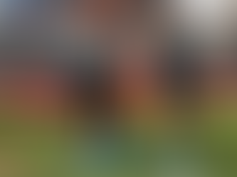 "Racing em Alta: Sequência Positiva e Vitória sobre Cruzeiro em Decisão; Titular sai de Campo com Lesão"