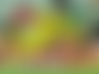 "Everson desafia estatísticas e emenda sequência invicta contra o Flamengo"